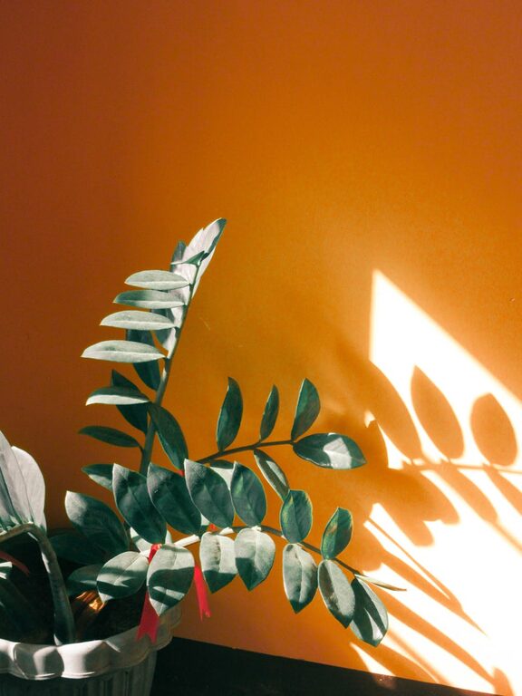 How to Start a Small Herb Garden Indoors: A Beginner’s Guide